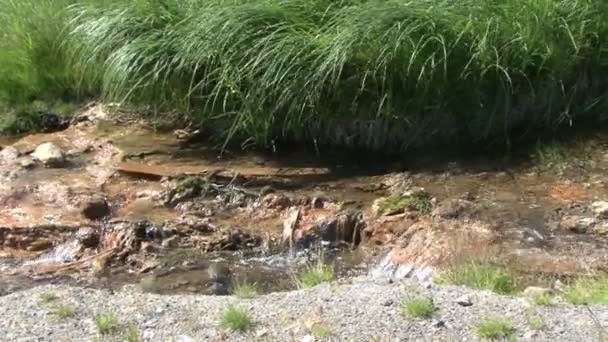 Arroyo en el Valle del volcán Mutnovsky . — Vídeos de Stock