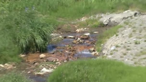 Stream in the Valley of Mutnovsky volcano. — Stock Video