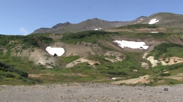 Valley of Mutnovsky volcano. — Stock Video