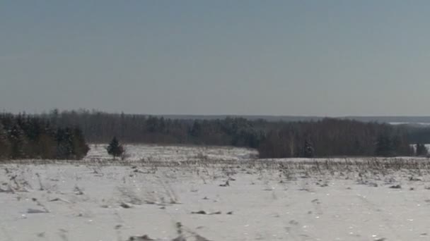 Weihnachtswinterszene. Schneebedecktes Feld, bewegliche Kamera — Stockvideo