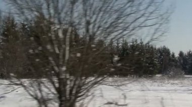 Noel kış sahne. karla kaplı alan, kamera hareketli