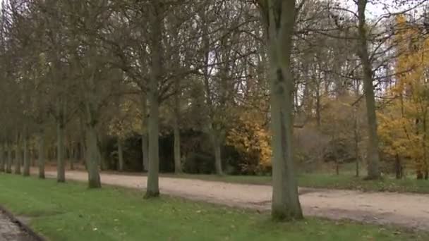 コマンドガンダムの秋の路地を介してカメラの動き — ストック動画