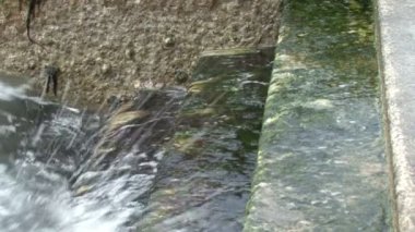 Dalgalar merdivenlerde