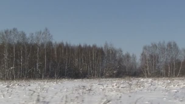 Boże Narodzenie na górce. pola pokryte śniegiem, przenoszenie kamery — Wideo stockowe