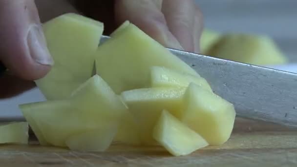 Hand gesneden frietjes aardappel — Stockvideo