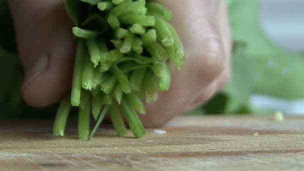 Foglie di lattuga tagliate a mano — Video Stock