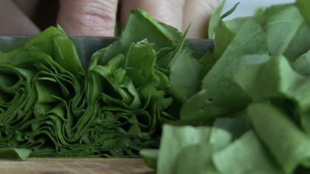 Hojas de lechuga cortadas a mano — Vídeos de Stock