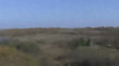 Yeşil kırsal manzara şaşırtıcı Panorama