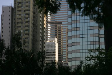 Hong Kong - Ağaçlarla çevrili Causeway Körfezi Cephesi
