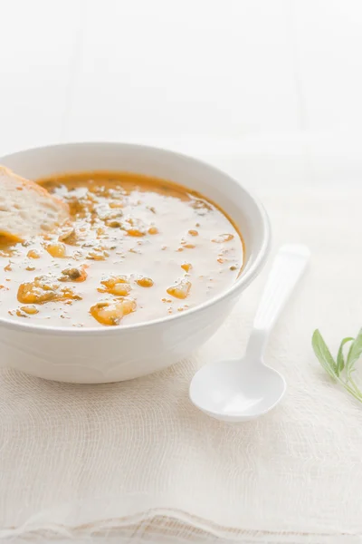 Sopa de verduras — Foto de Stock