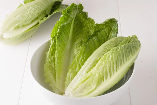 Romaine lettuce — Stock Photo, Image