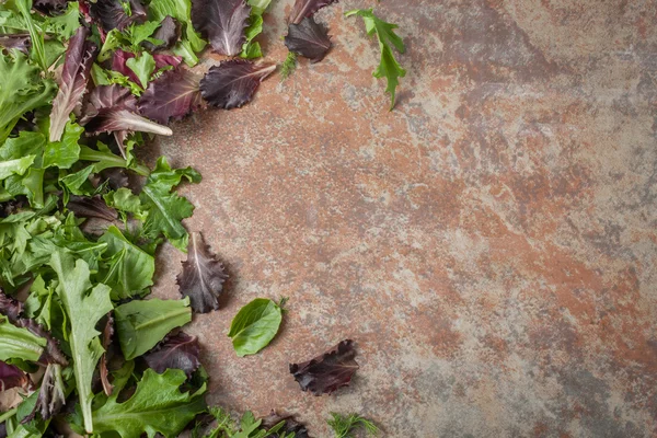 新鮮なレタスの葉のテクスチャ背景 — ストック写真