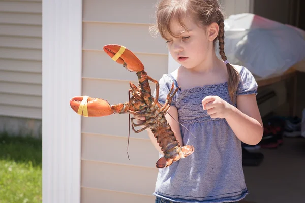 Curious little girl holding live lobster — Stock Photo, Image