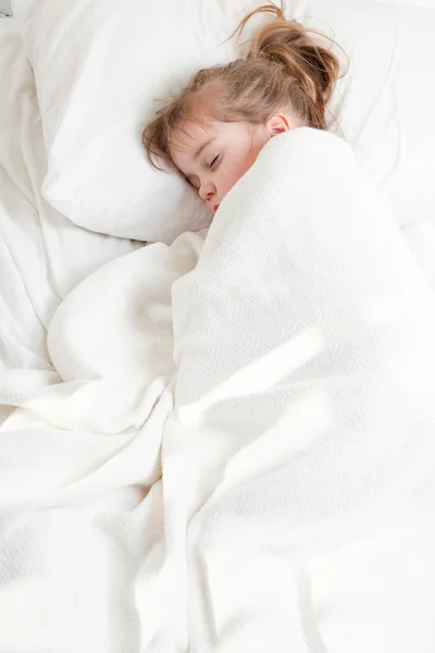 Seorang gadis kecil dengan ekor kuda tidur ditutupi dengan selimut — Stok Foto