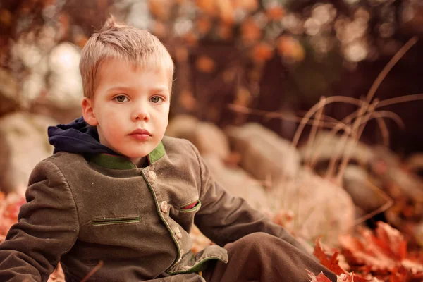 Portrait of a two year old blond boy sitting on a grass on a warm autumn day — Stock Photo, Image