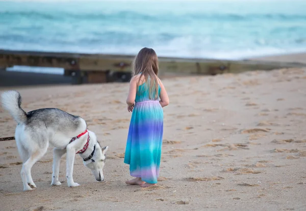 Meisje lopen haar hond op een strand — Stockfoto