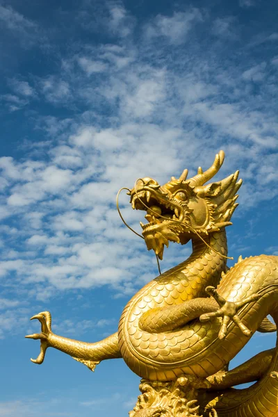 Gold chinese dragon of thailand — Stock Photo, Image