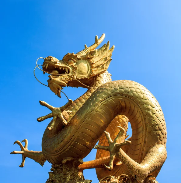 Gold chinese dragon of thailand — Stock Photo, Image