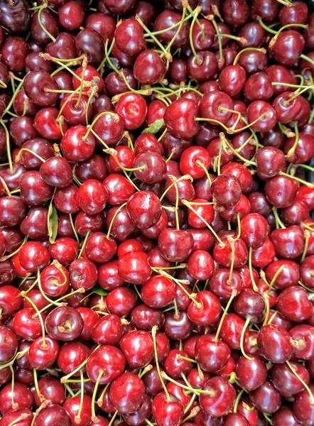 Cerises rouges fond — Photo