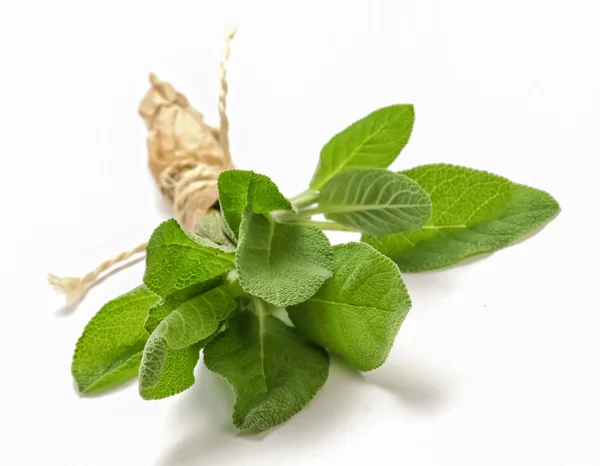 Bunch of sage isolated — Stock Photo, Image