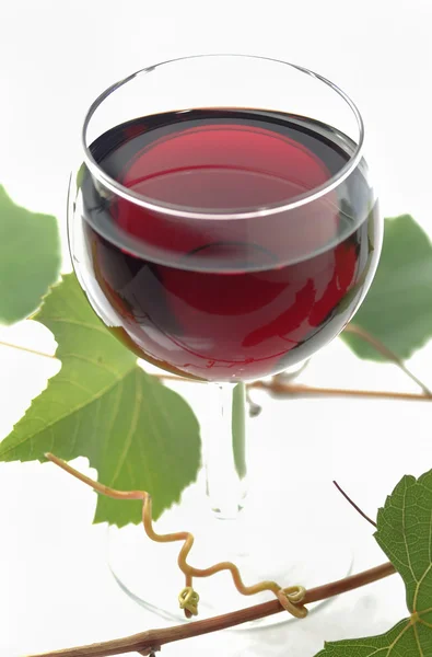 Red wine glass with leaves — Stock Photo, Image