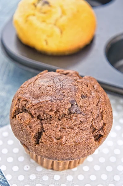 Čokoládové a vanilkové muffiny — Stock fotografie