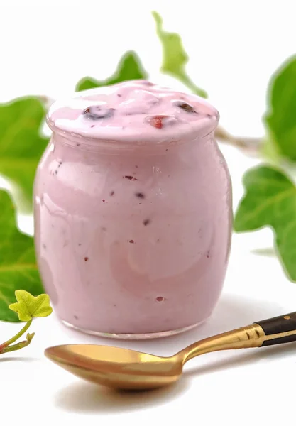 Verse bessen yoghurt — Stockfoto