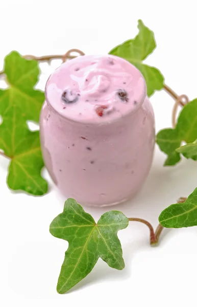 Verse bessen yoghurt — Stockfoto