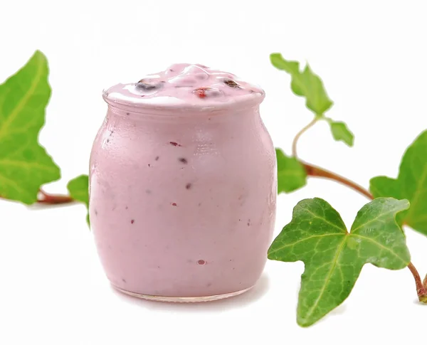 Świeże jagody jogurt — Zdjęcie stockowe