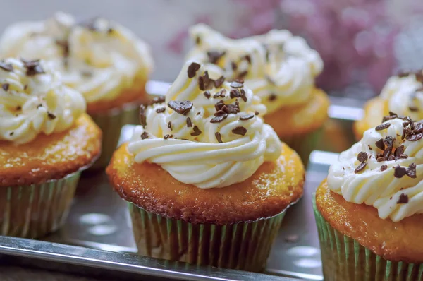 Cupcakes frescos em recipiente — Fotografia de Stock