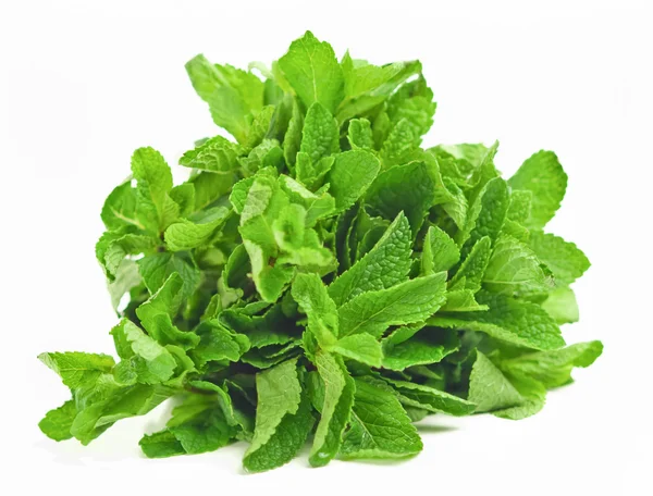 Bunch of mint leaves — Stock Photo, Image