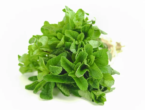 Bunch of mint leaves — Stock Photo, Image