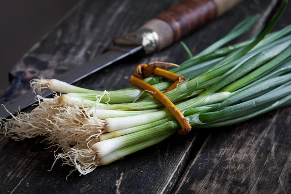 Ein Bund Frühlingszwiebeln — Stockfoto