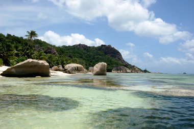 güzel bir plaj tropikal adada