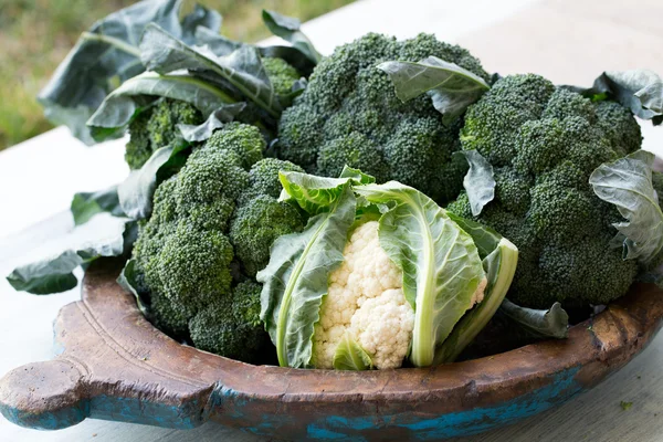 Brokoli hijau dengan daun — Stok Foto