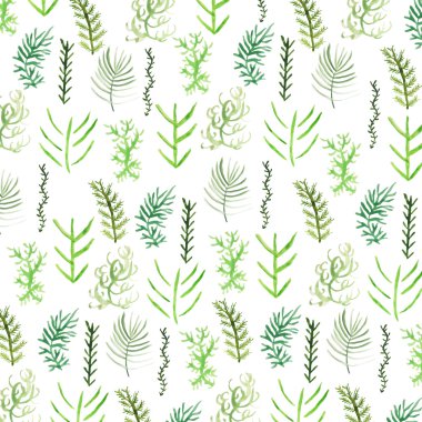 Çiçek suluboya vektör