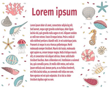 seashell çerçeve