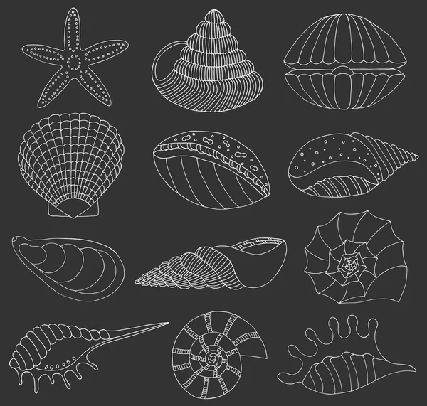 Conjunto de conchas marinas y estrellas de mar — Archivo Imágenes Vectoriales