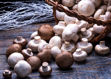 Mushrooms, spill out of a wicker basket on a wooden background clipart