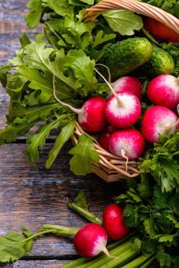 Bahar sebze ve otlar bir sepet içinde: turp, soğan, maydanoz, bir ahşap zemin üzerine salatalık.