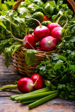 Bahar sebze ve otlar bir sepet içinde: turp, soğan, maydanoz, bir ahşap zemin üzerine salatalık.