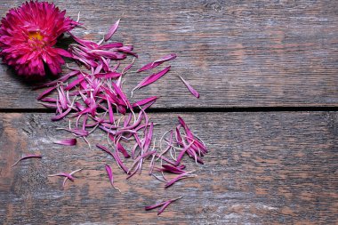 Aster çiçek buketi mor kırmızı pembe beyaz ahşap arka plan. seçici odak