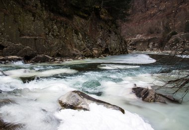 Batı Ukrayna Karpatlar kış manzarası