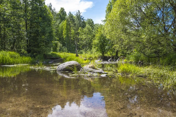 Paisaje de verano con caudal fluvial y cielo azul —  Fotos de Stock