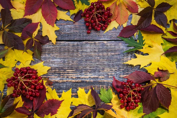 Hojas de otoño, viburno sobre fondo de madera — Foto de Stock