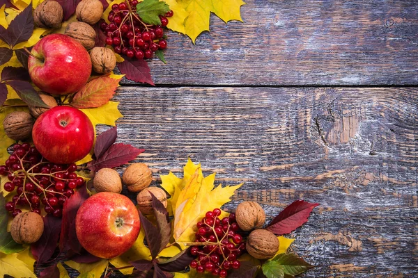 Folhas de outono, nozes, maçãs, viburnum em um fundo de madeira — Fotografia de Stock
