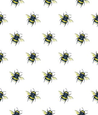 Beyaz bir arka plan üzerinde eşek arısı. Suluboya çizimi. Böcekler sanat. İşlemeli. Seamless modeli