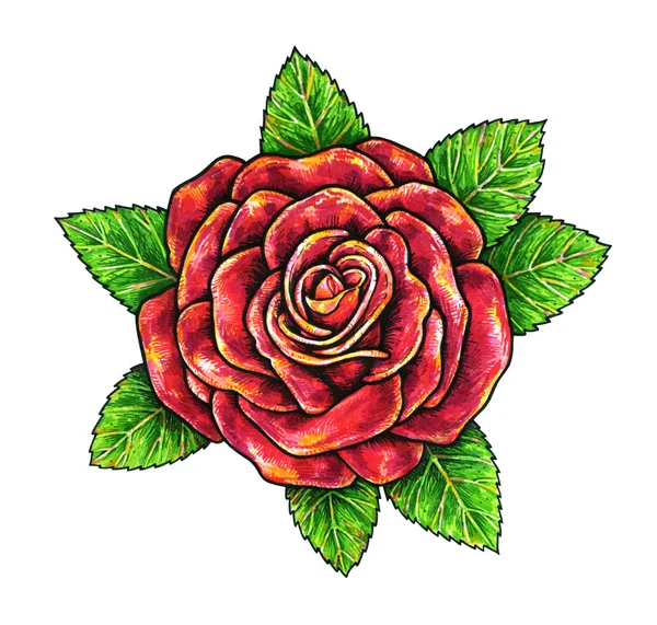 Red rose a flower is isolated on a white background. Rose drawing front view. Handwork by felt-tip pens. The sketch for a tattoo — Stock Photo, Image