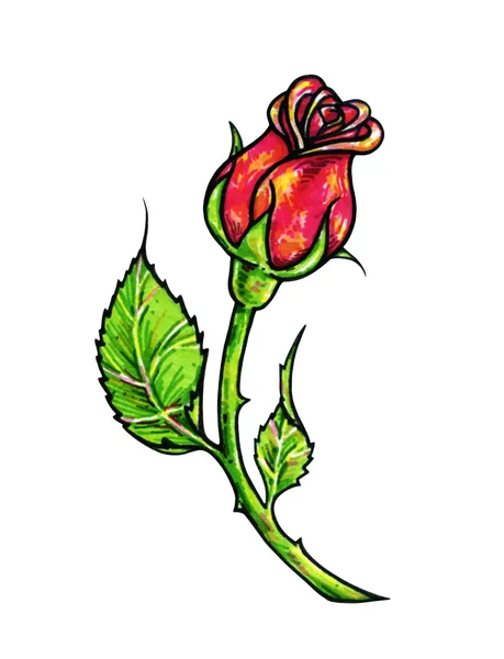 红色玫瑰花被孤立在白色背景上。玫瑰的绘图前视图。手工的毡尖笔。纹身素描 — 图库照片