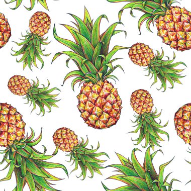 Beyaz bir arka plan üzerinde ananas. Çizim işaretleri renk. Tropikal meyve. Seamless modeli 